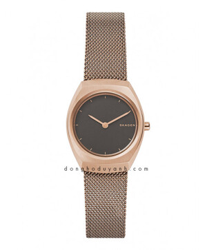 Đồng hồ nữ Skagen SKW2651