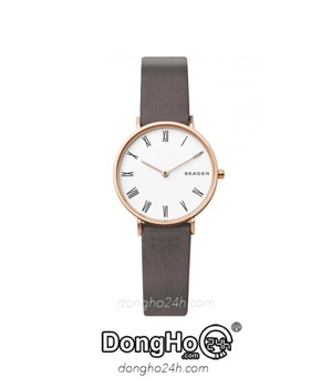 Đồng hồ nữ Skagen SKW2674