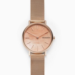 Đồng hồ nữ Skagen SKW2732