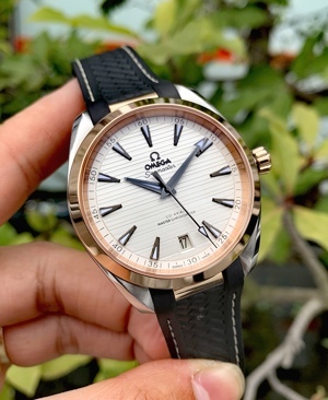 Đồng hồ Omega Seamaster Aqua Terra Master Chronometer 220.22.41.21.02.001