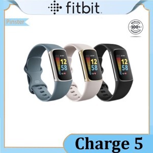 Đồng hồ thông minh Fitbit Charge 5