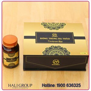 Đông Trùng Hạ Thảo Cordyceps King Mailands