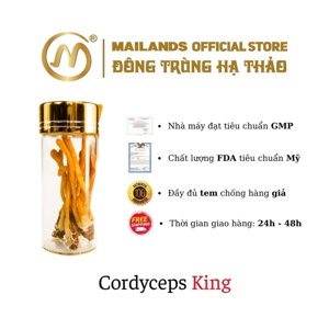 Đông Trùng Hạ Thảo Cordyceps King Mailands