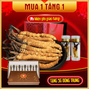 Đông Trùng Hạ Thảo nguyên con cao cấp 20g/hộp