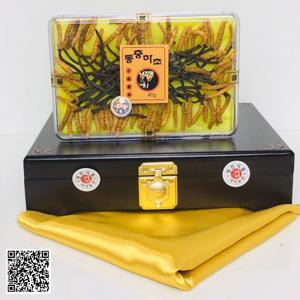 Đông trùng hạ thảo Tây Tạng thiên nhiên nguyên con 20g
