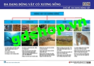 Động Vật Có Xương Sống
