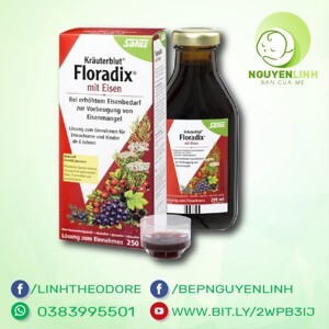 Dung dịch bổ sung sắt floradix Salus 250ml