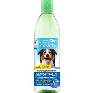 Dung dịch chăm sóc răng miệng TropiClean Fresh Breath Dental Health for Cats 473ml - Thơm miệng, loại bỏ mảng bám cho mèo Petmall