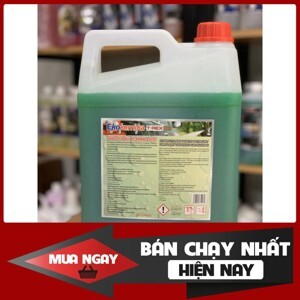 Dung dịch rửa xe không chạm Ekokemika T-Rex 80 - can 5L