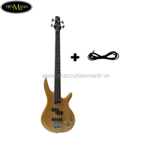 Đàn Guitar Electric Bass Ibanez TMB390