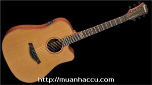 Đàn Guitar Famosa Acoustic FD425CUE