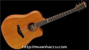 Đàn Guitar Famosa Acoustic FD425CU