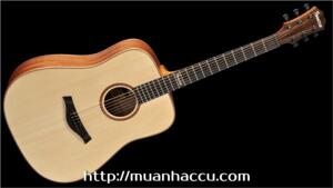 Đàn Guitar Famosa Acoustic FD425S