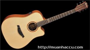 Đàn Guitar Famosa Acoustic FD425SUE