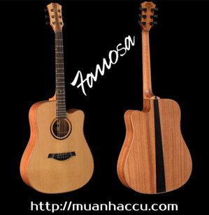 Đàn Guitar Famosa Acoustic FD450CU