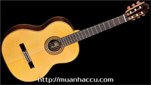 Đàn Guitar Famosa Classic FC30S (FC 30S)