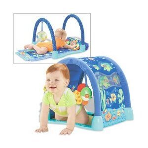 Thảm đa năng Fisher-Price P5331