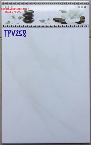 Gạch 25x40 TPV258