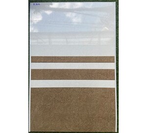 Gạch 30x60 ốp tường R3610