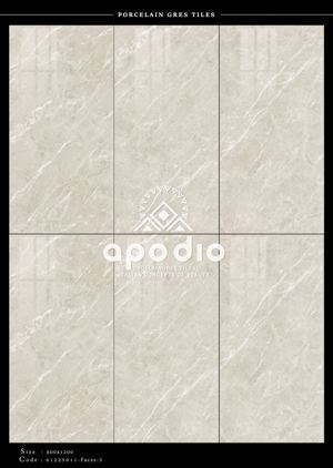 Gạch 60x120cm Apodio 61225011
