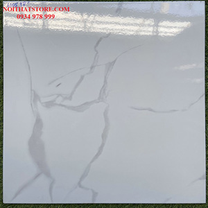 Gạch 60x60 6105 TP