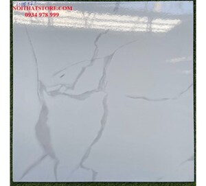 Gạch 60x60 6105 TP