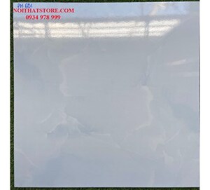 Gạch 60x60 PH601