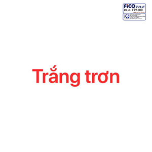 Gạch 60x60 trắng trơn FP6100