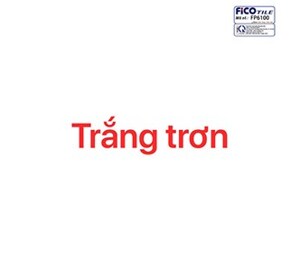 Gạch 60x60 trắng trơn FP6100