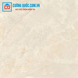 Gạch Ấn Độ 60×120 Breccia