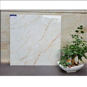 Gạch Ấn Độ 80×80 Pulse Glossy