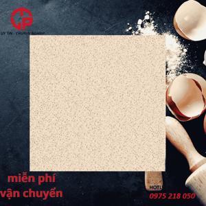 Gạch Bạch Mã 60x60 HG 6004