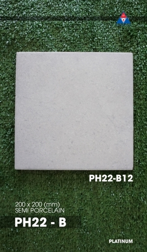 Gạch bông 200x200 Viglacera PH22-B12