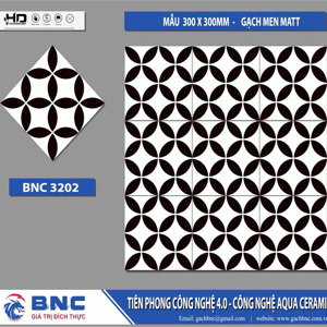 Gạch bông BNC3202