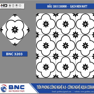 Gạch bông BNC3203