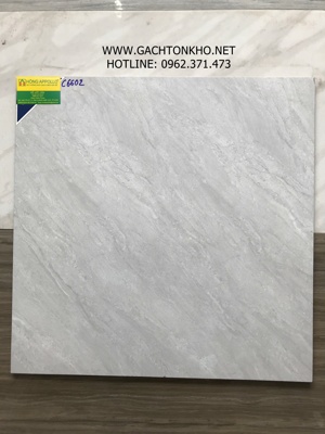 Gạch lát nền Hoàng Hà 60x60 C6602