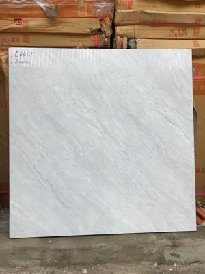 Gạch lát nền Hoàng Hà 60x60 C6602