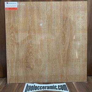 Gạch bóng kiếng Catalan CD 6065 - 60x60