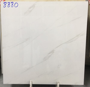 Gạch bóng kính Prime 8880 - 80x80