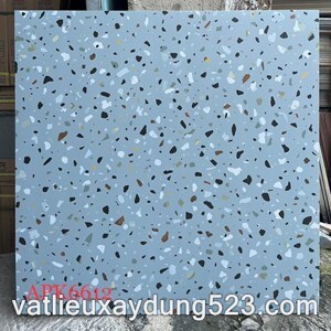 Gạch bóng kính Tasa 6612 - 60x60