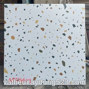 Gạch bóng kính Tasa 6613 - 60x60