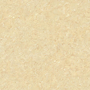 Gạch bóng kính Tasa 6621 - 60x60