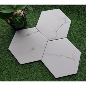 Gạch bông lục giác 20×23 23001