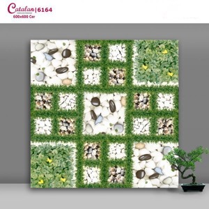 Gạch Catalan 60x60 6164