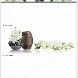 Gạch Ceramic ốp tường JOJO3806