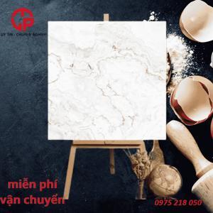 Gạch CMC 80X80 LX8844