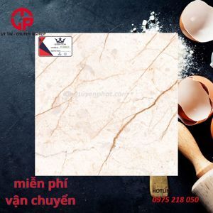Gạch đá Granite bóng kính lát nền Trung Nguyên 60x60 mã gạch P60827