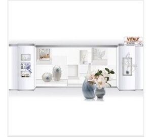 Gạch điểm ốp tường Vitaly 30x60 W3679D