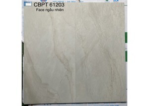 Gạch đồng chất vân đá Viglacera CB PT61203