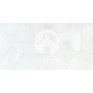 Gạch Đồng Tâm 2560NGOCTRAI001